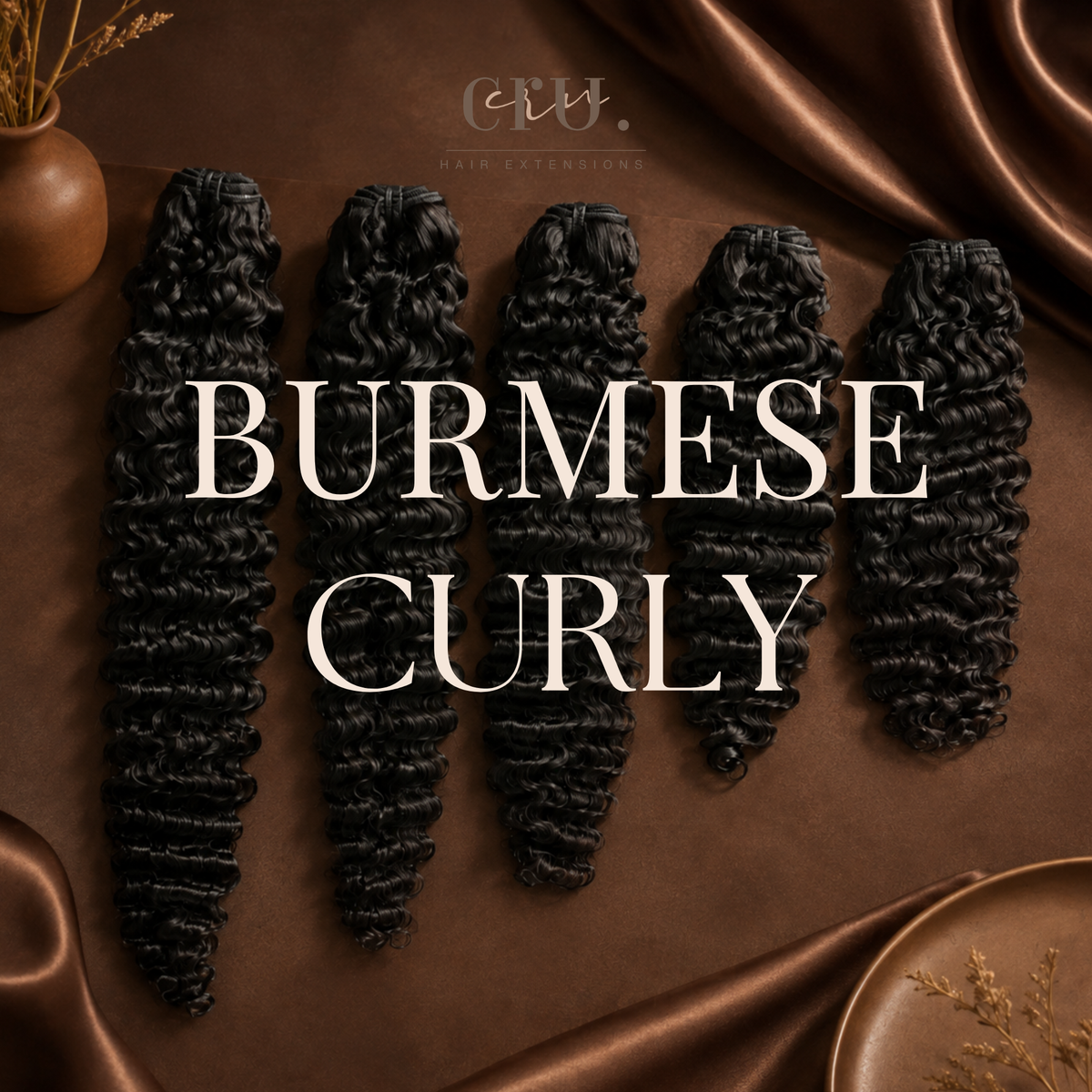 Cru - Burmese Curly